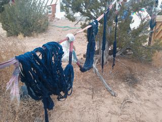 Dain's & Amanda's Earthship 2025