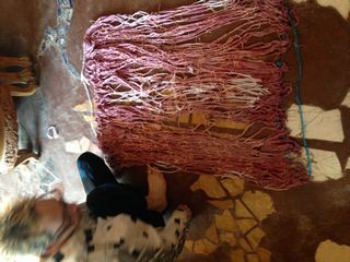 Dain's & Amanda's Earthship 2025