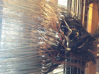 Dain's & Amanda's Earthship 2025