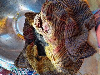 Dain's & Amanda's Earthship 2025