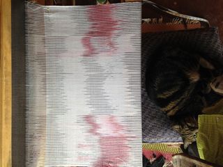 Dain's & Amanda's Earthship 2025